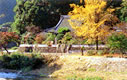 大野寺